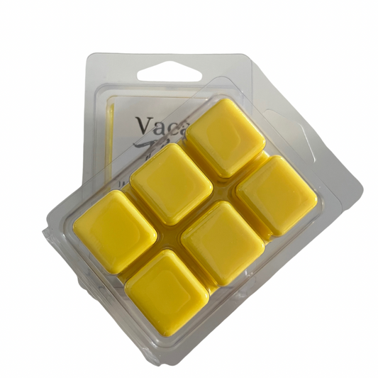 “Vacay Time” Wax Melts